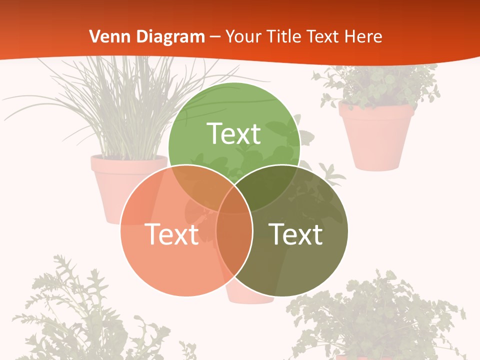 Peppermint Growing Leaves PowerPoint Template
