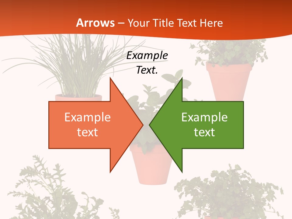Peppermint Growing Leaves PowerPoint Template