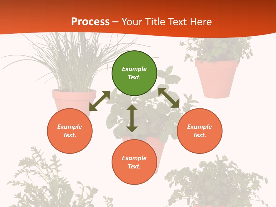 Peppermint Growing Leaves PowerPoint Template