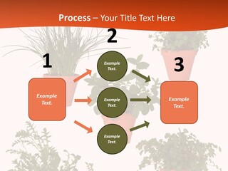 Peppermint Growing Leaves PowerPoint Template