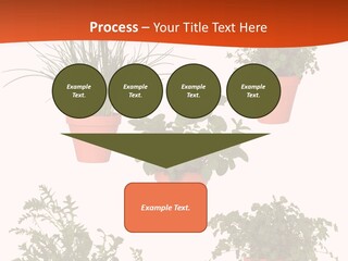 Peppermint Growing Leaves PowerPoint Template