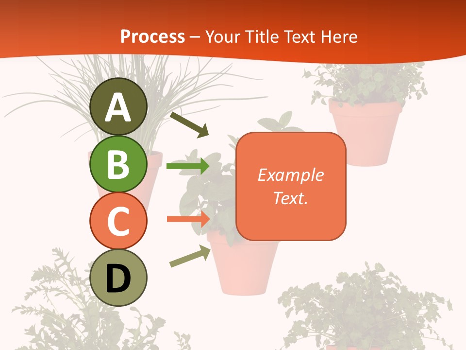 Peppermint Growing Leaves PowerPoint Template