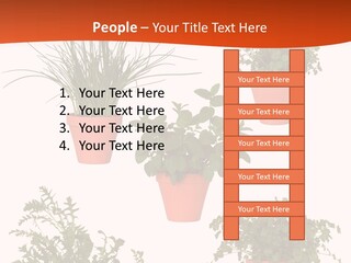 Peppermint Growing Leaves PowerPoint Template