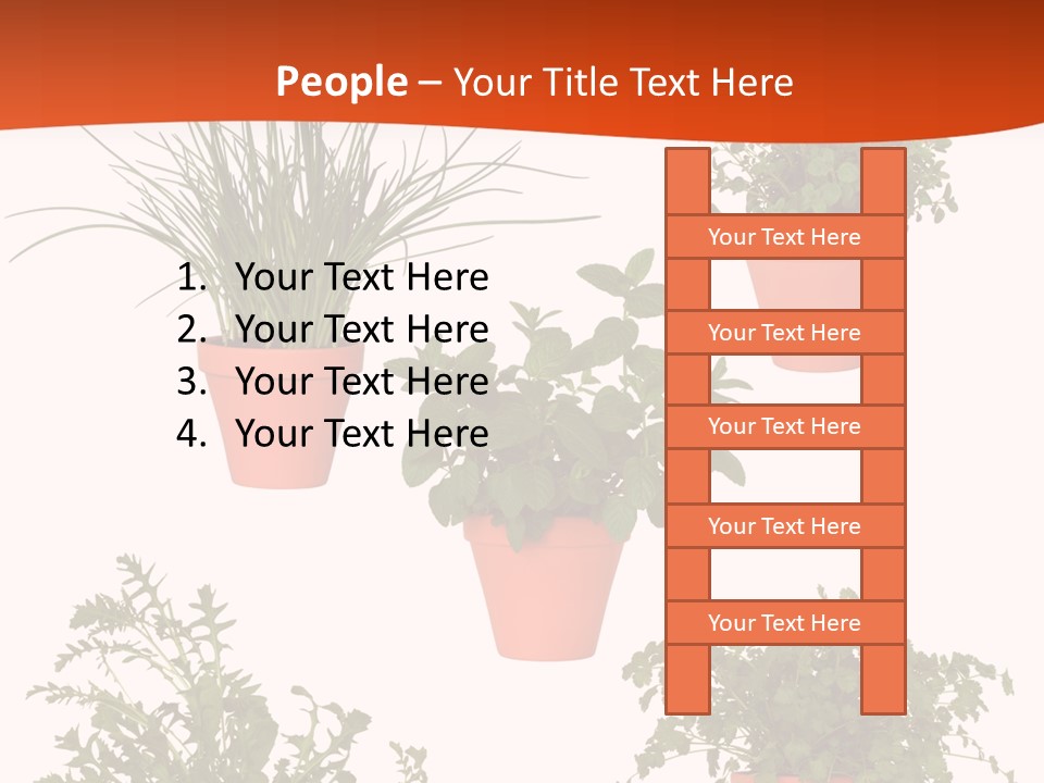 Peppermint Growing Leaves PowerPoint Template