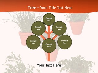 Peppermint Growing Leaves PowerPoint Template