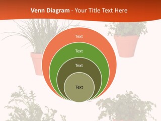 Peppermint Growing Leaves PowerPoint Template