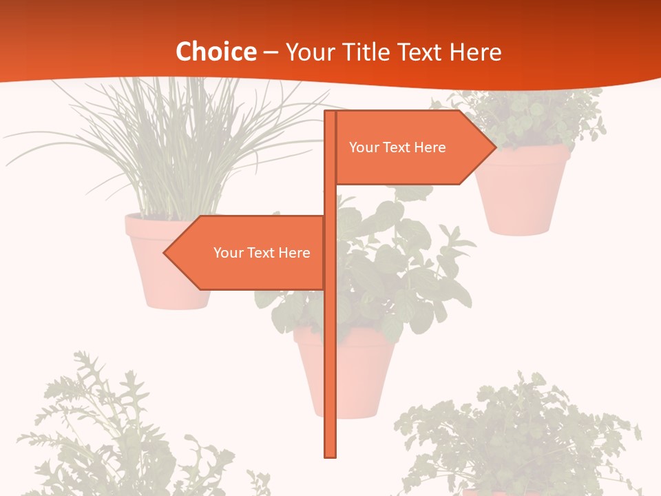 Peppermint Growing Leaves PowerPoint Template