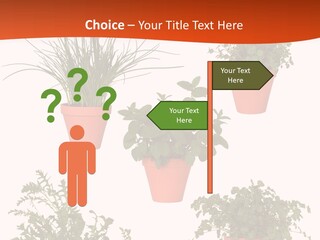 Peppermint Growing Leaves PowerPoint Template