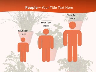 Peppermint Growing Leaves PowerPoint Template