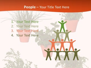 Peppermint Growing Leaves PowerPoint Template