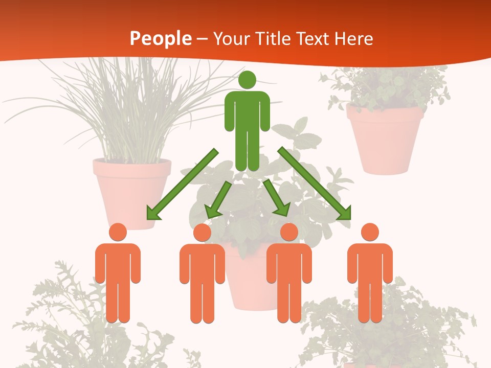 Peppermint Growing Leaves PowerPoint Template