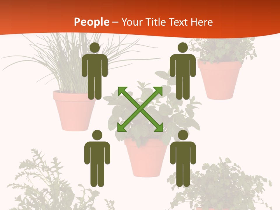 Peppermint Growing Leaves PowerPoint Template