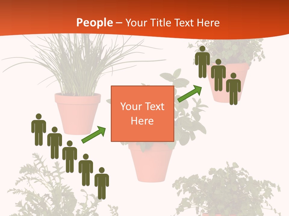 Peppermint Growing Leaves PowerPoint Template