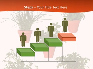 Peppermint Growing Leaves PowerPoint Template