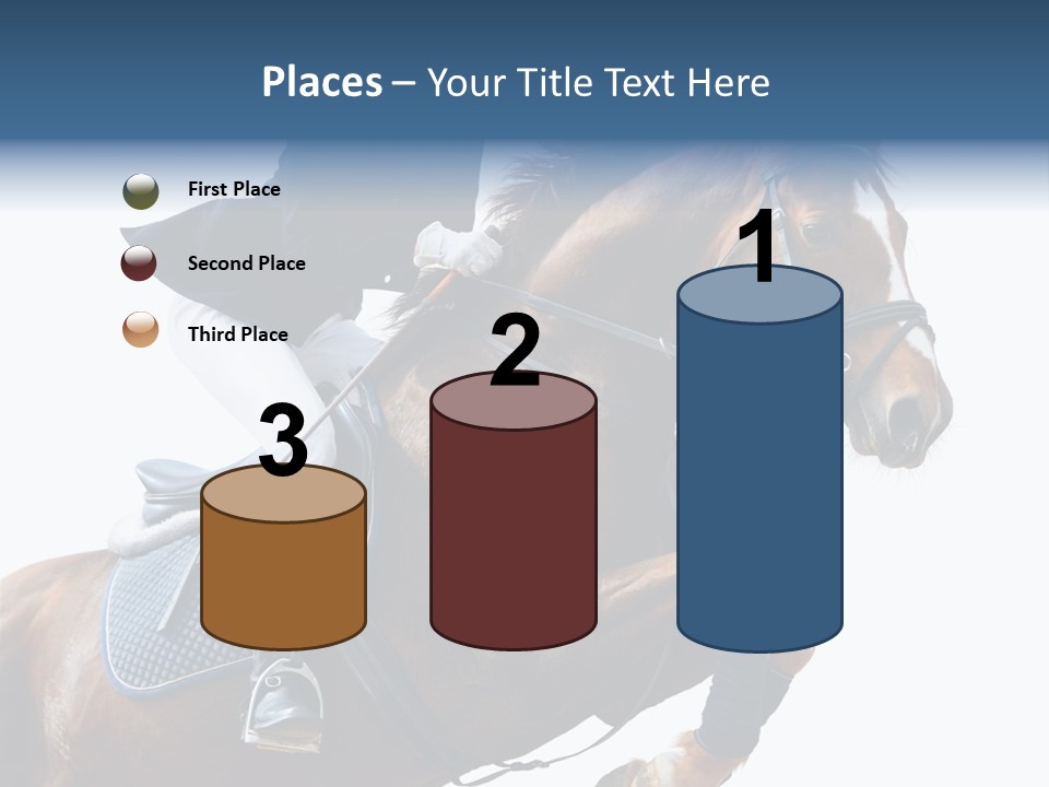 Stallion Caucasian Equine PowerPoint Template