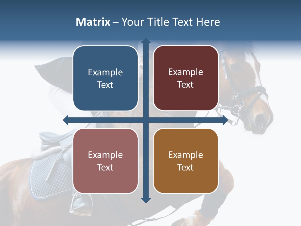 Stallion Caucasian Equine PowerPoint Template