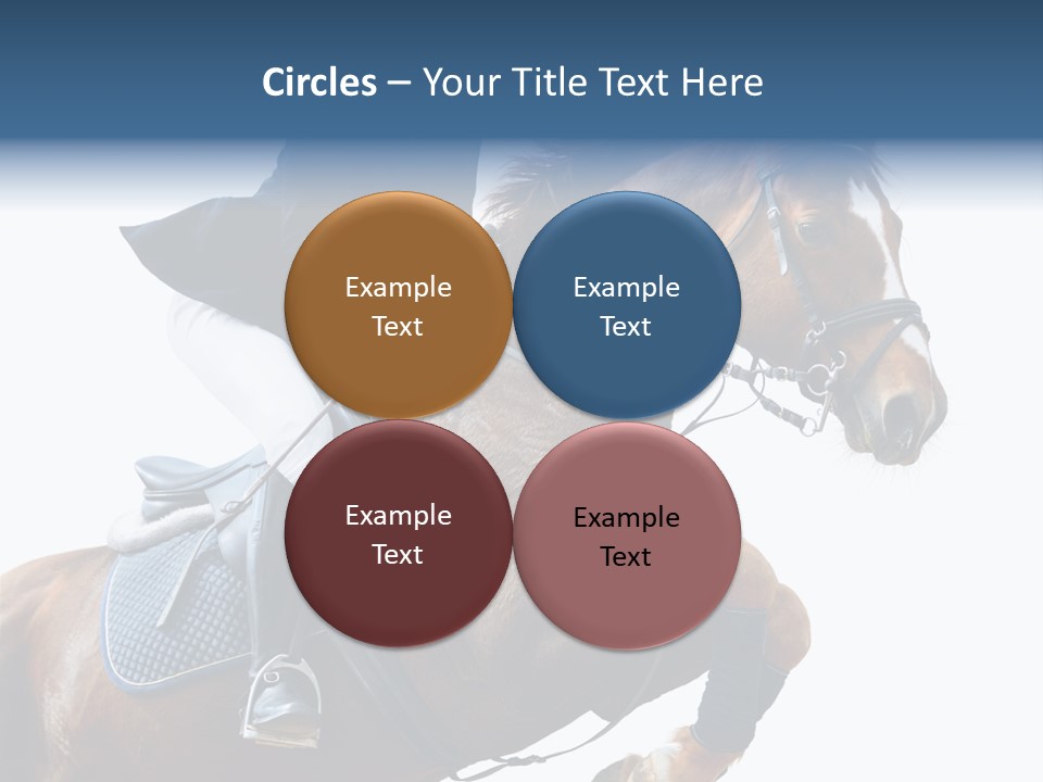 Stallion Caucasian Equine PowerPoint Template