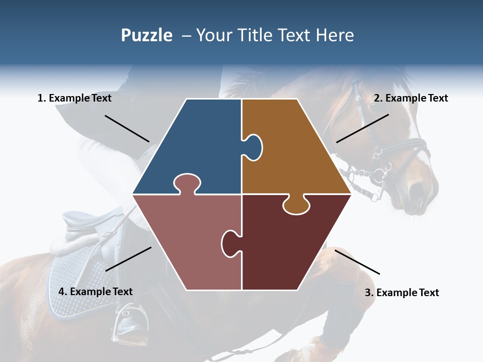 Stallion Caucasian Equine PowerPoint Template