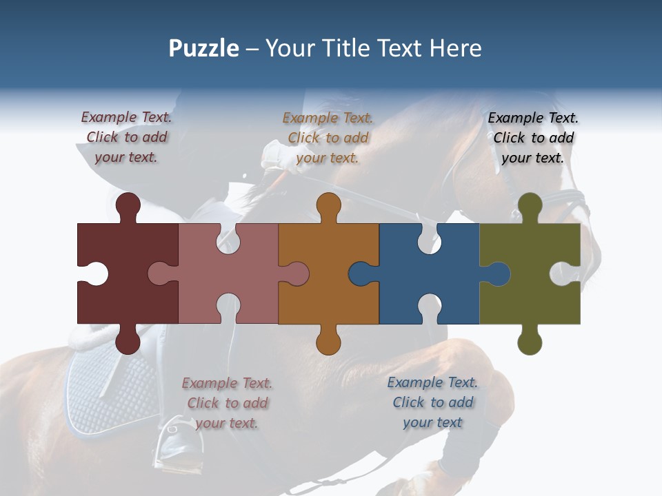 Stallion Caucasian Equine PowerPoint Template