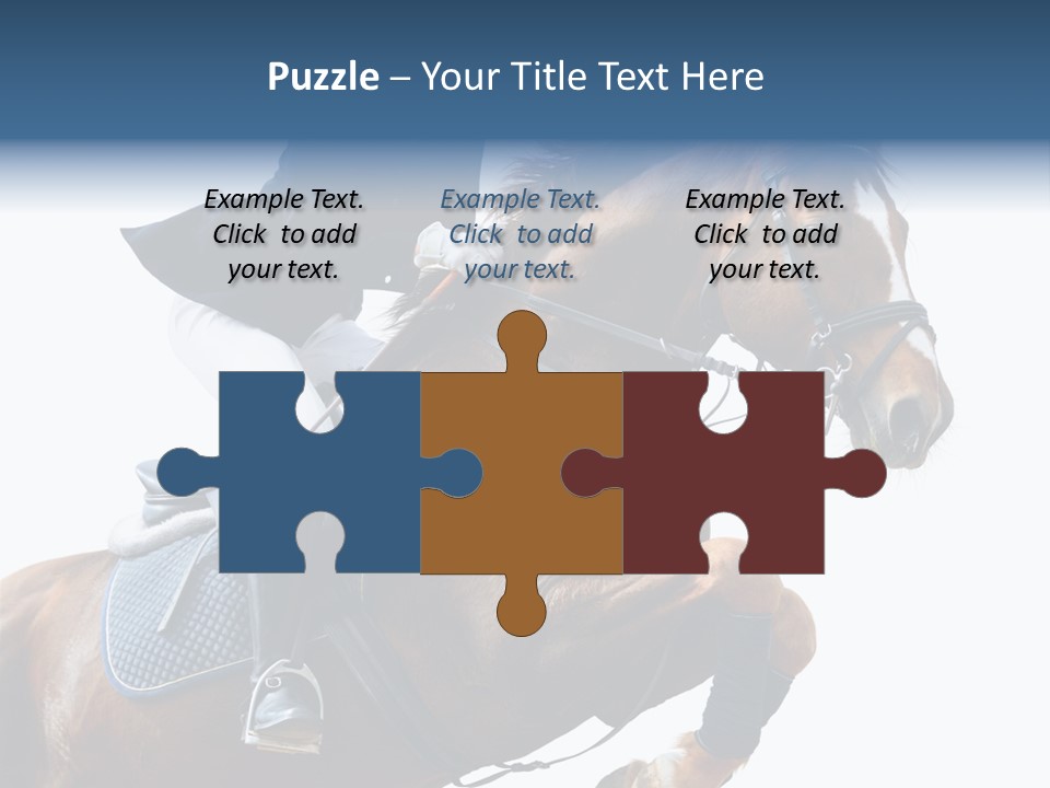 Stallion Caucasian Equine PowerPoint Template