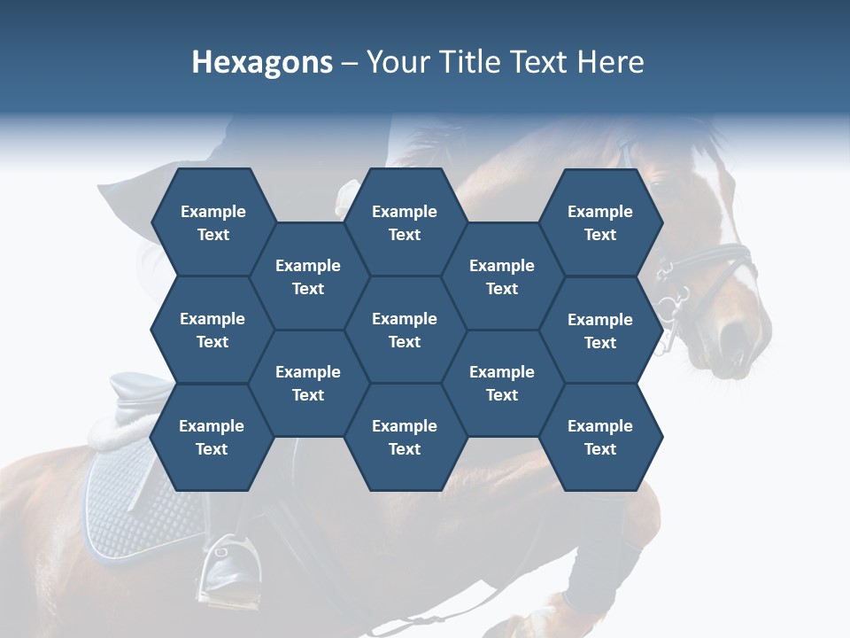 Stallion Caucasian Equine PowerPoint Template