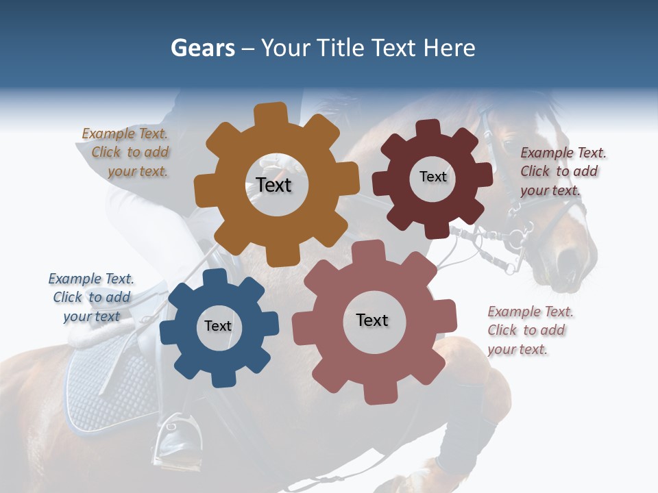 Stallion Caucasian Equine PowerPoint Template