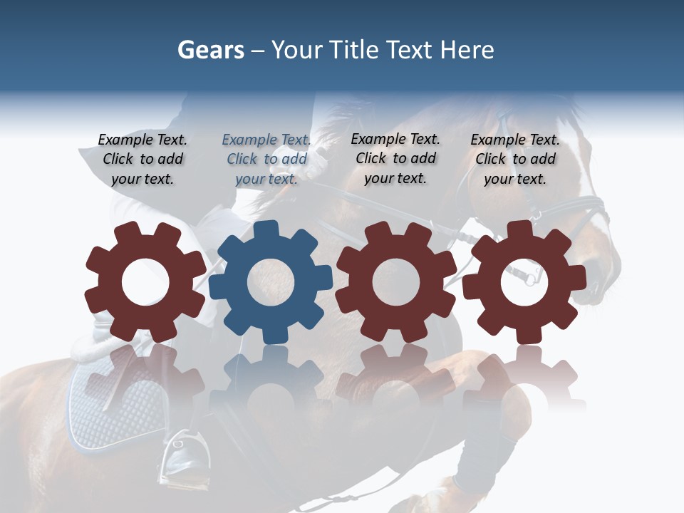 Stallion Caucasian Equine PowerPoint Template