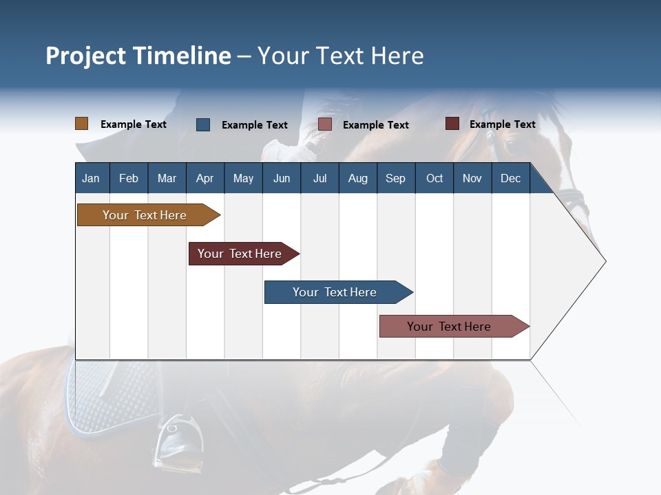 Stallion Caucasian Equine PowerPoint Template