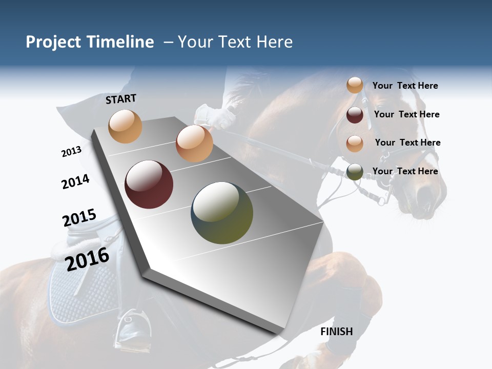Stallion Caucasian Equine PowerPoint Template