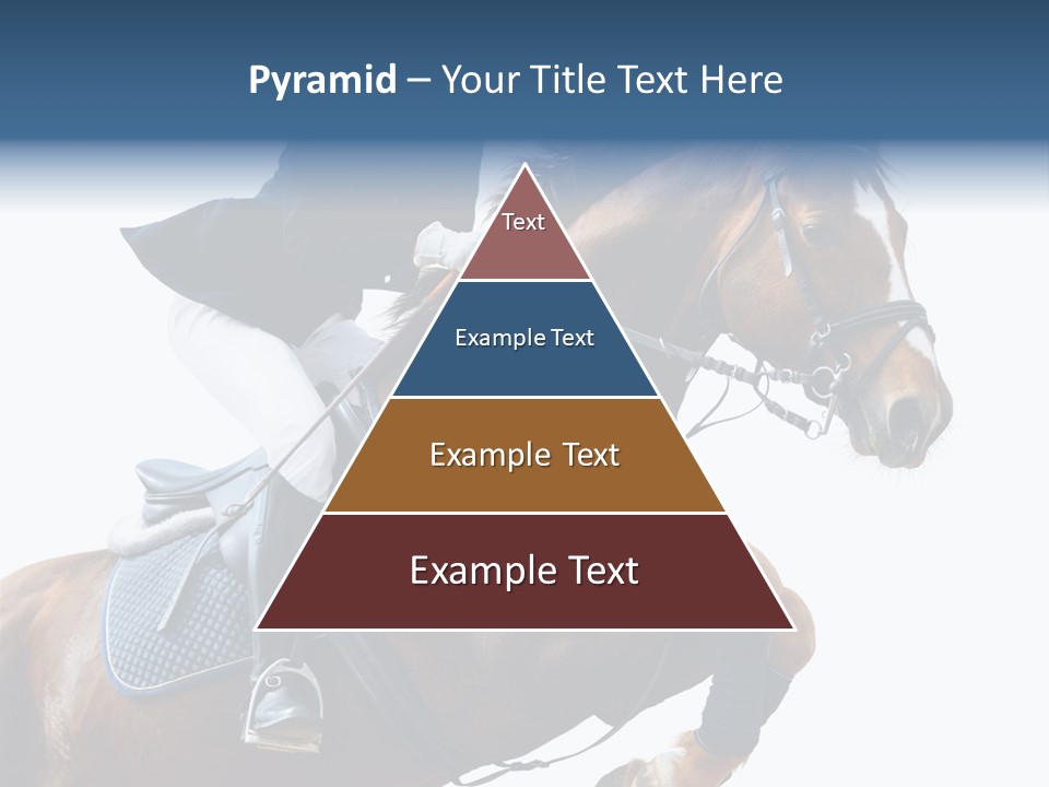 Stallion Caucasian Equine PowerPoint Template