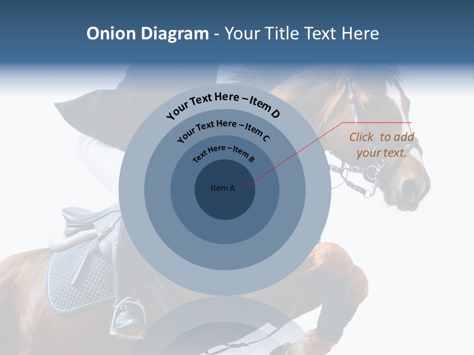 Stallion Caucasian Equine PowerPoint Template