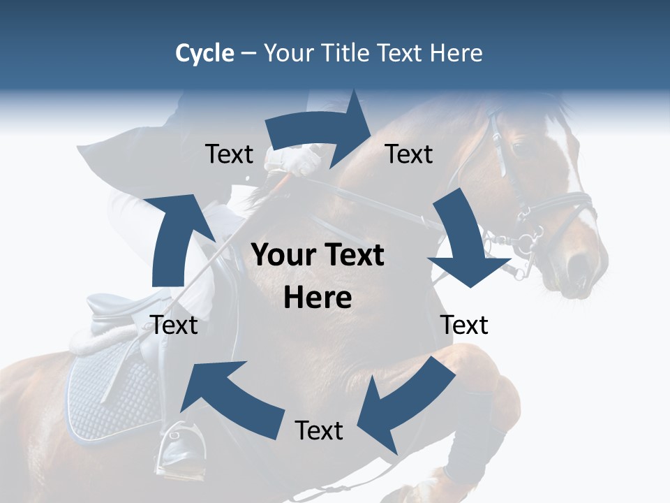 Stallion Caucasian Equine PowerPoint Template