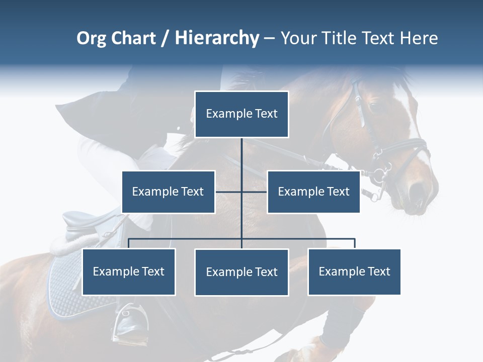 Stallion Caucasian Equine PowerPoint Template