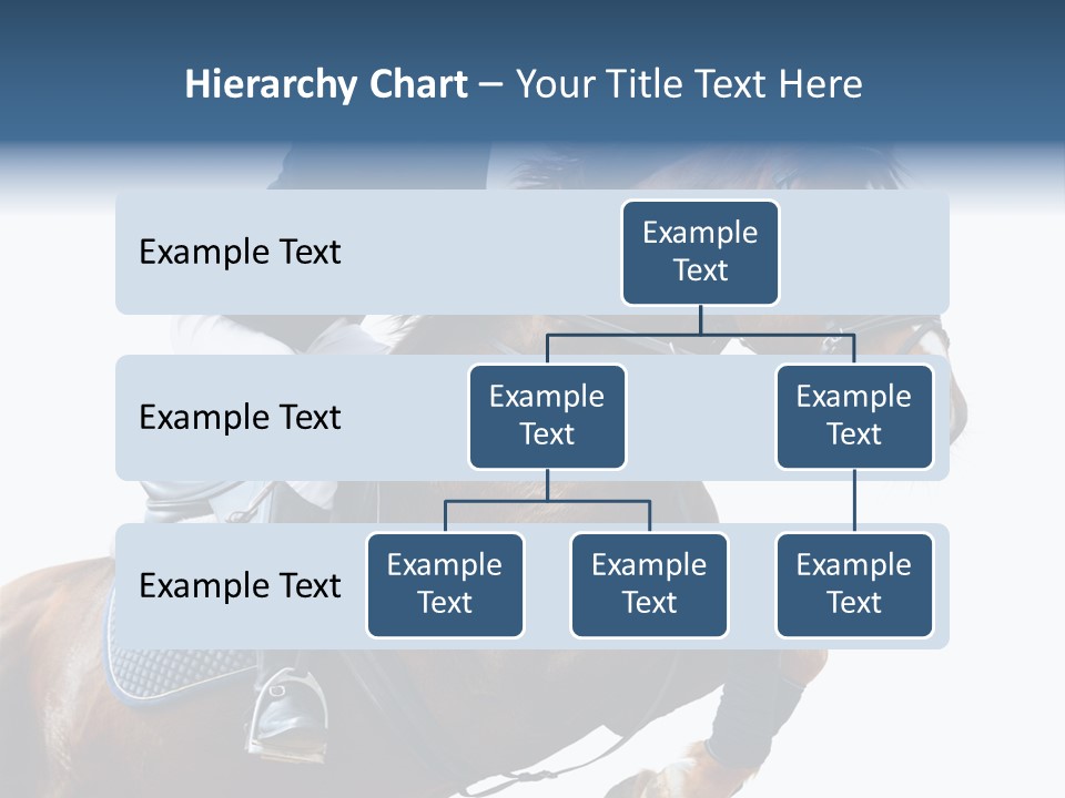 Stallion Caucasian Equine PowerPoint Template