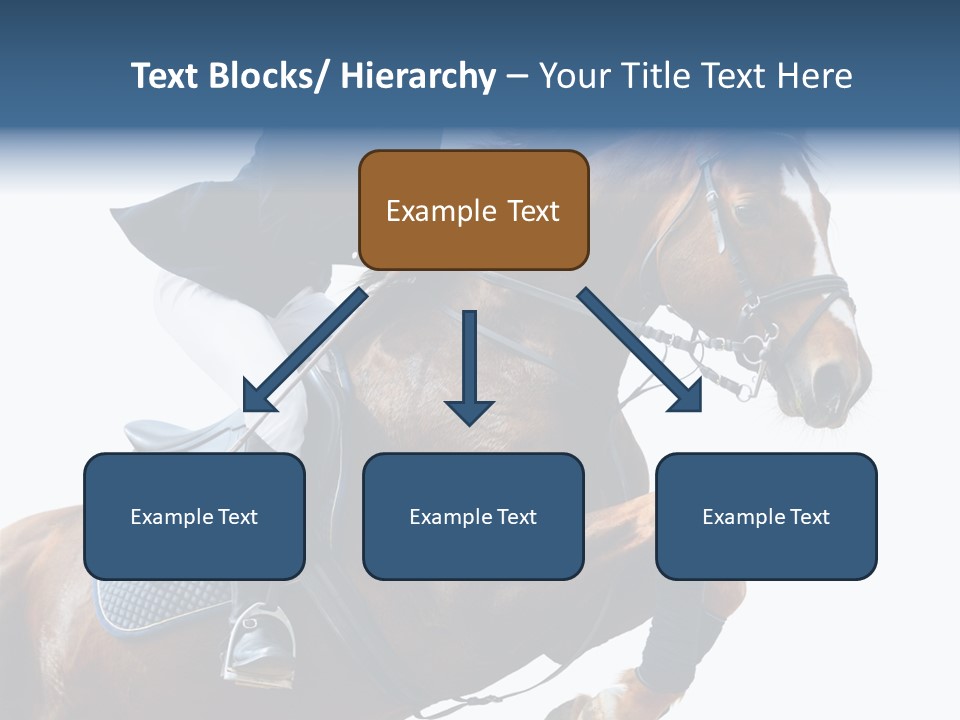 Stallion Caucasian Equine PowerPoint Template