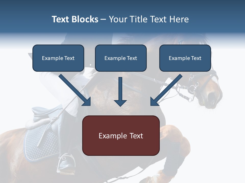 Stallion Caucasian Equine PowerPoint Template