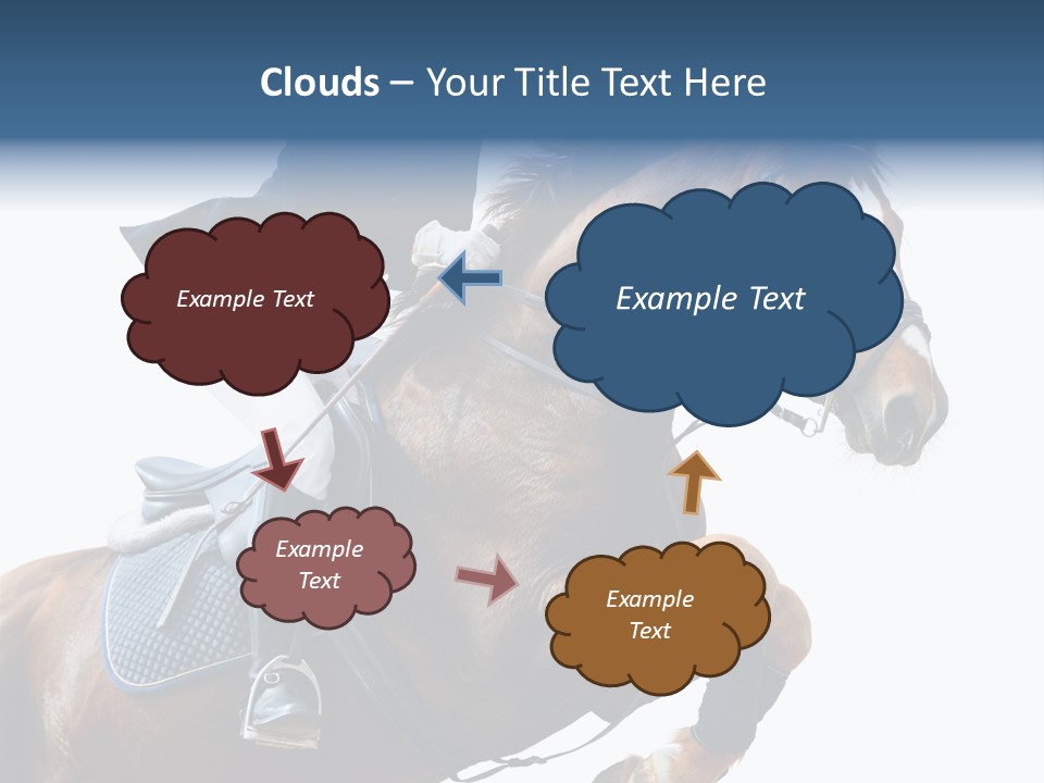 Stallion Caucasian Equine PowerPoint Template