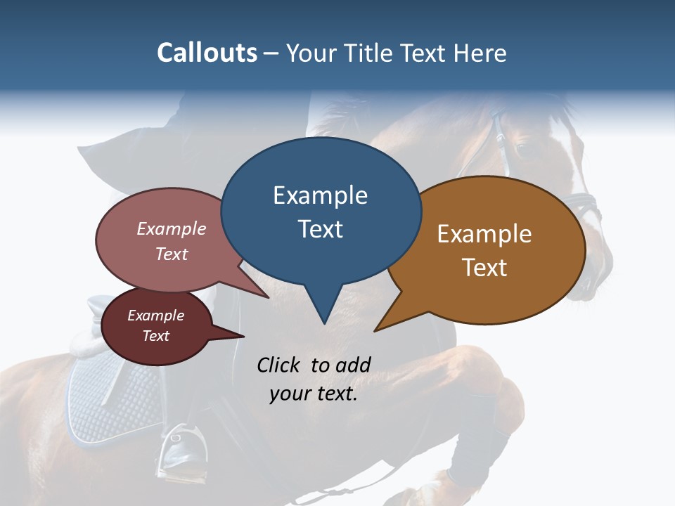 Stallion Caucasian Equine PowerPoint Template