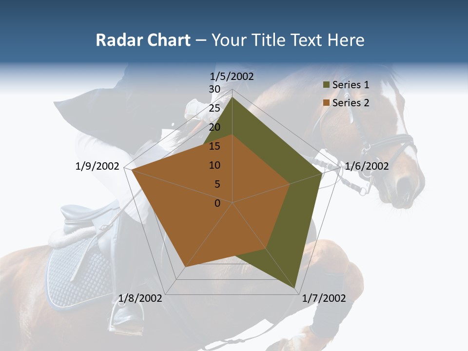 Stallion Caucasian Equine PowerPoint Template