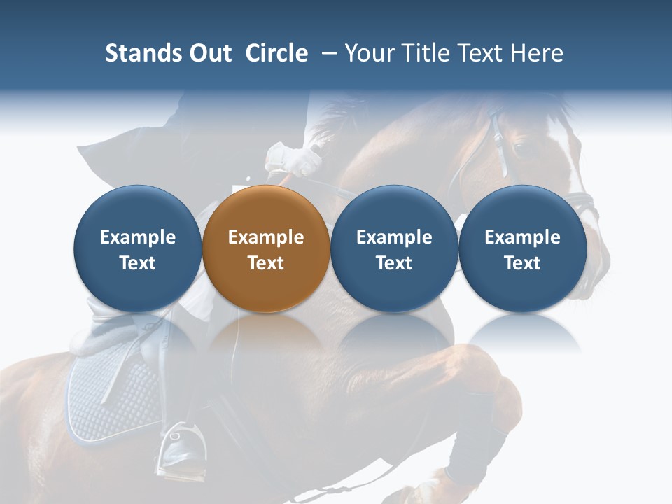 Stallion Caucasian Equine PowerPoint Template