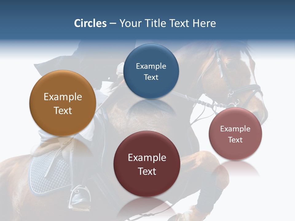 Stallion Caucasian Equine PowerPoint Template