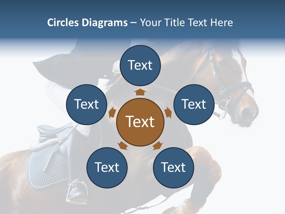 Stallion Caucasian Equine PowerPoint Template