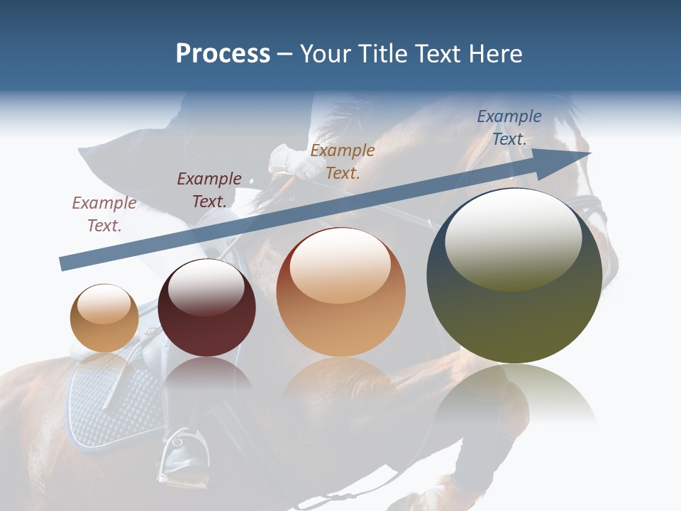 Stallion Caucasian Equine PowerPoint Template