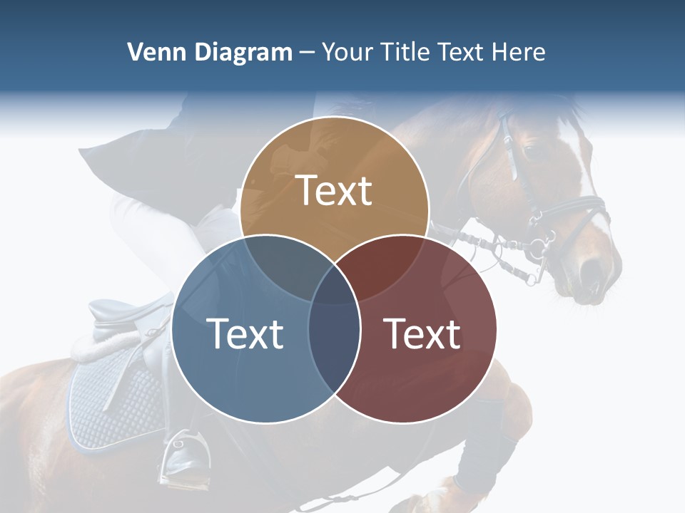 Stallion Caucasian Equine PowerPoint Template