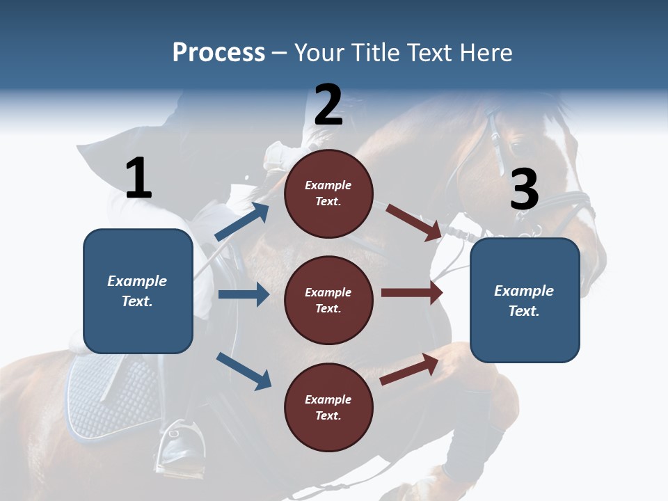 Stallion Caucasian Equine PowerPoint Template