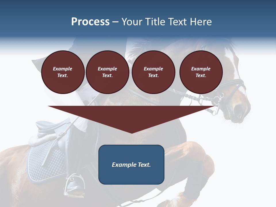 Stallion Caucasian Equine PowerPoint Template