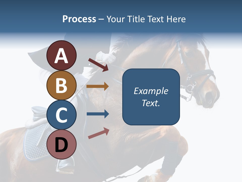 Stallion Caucasian Equine PowerPoint Template
