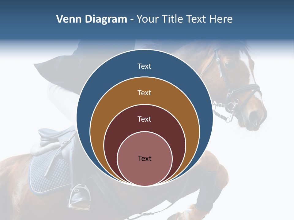 Stallion Caucasian Equine PowerPoint Template