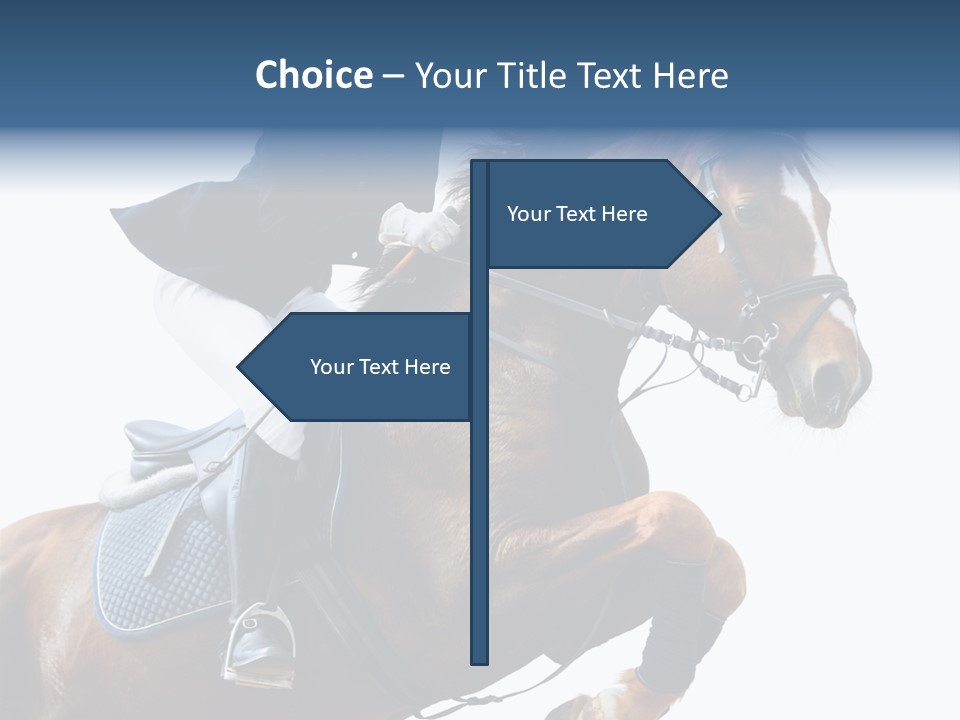 Stallion Caucasian Equine PowerPoint Template