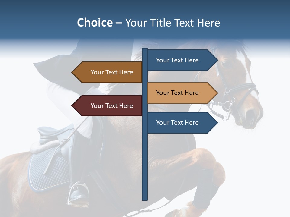 Stallion Caucasian Equine PowerPoint Template